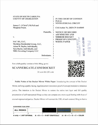 Notice of Record Asymmetry and Mirror Docket Proof of Concept White Paper